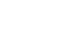 DVJ