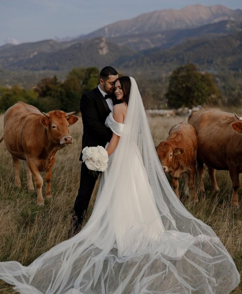 Wedding photo